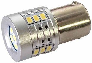 Світлодіоди в габаритні вогні. підсвітку номера та в салон DriveX S25-125 18-3020emc 12-24V CAN автомобільні світлодіоди 12В DR-00000899 фото
