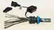 LED лампи автомобільні DriveX AL-02P H11 6000K LED 36W 12В DR-00001005 фото 2